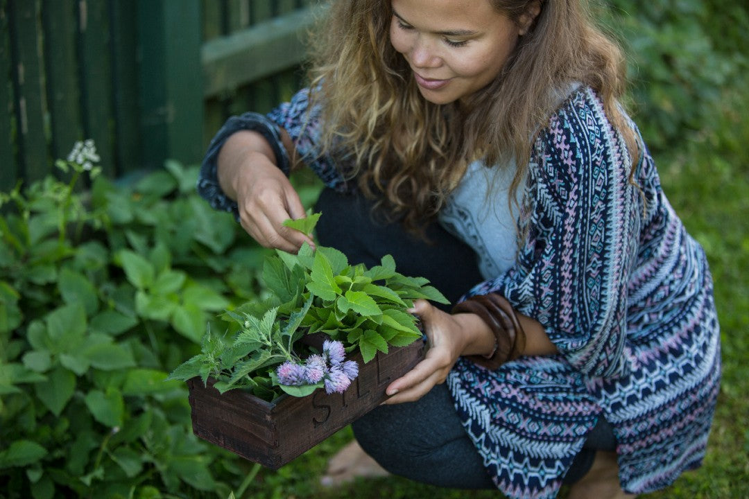 Villiyrttien keräämisen ABC