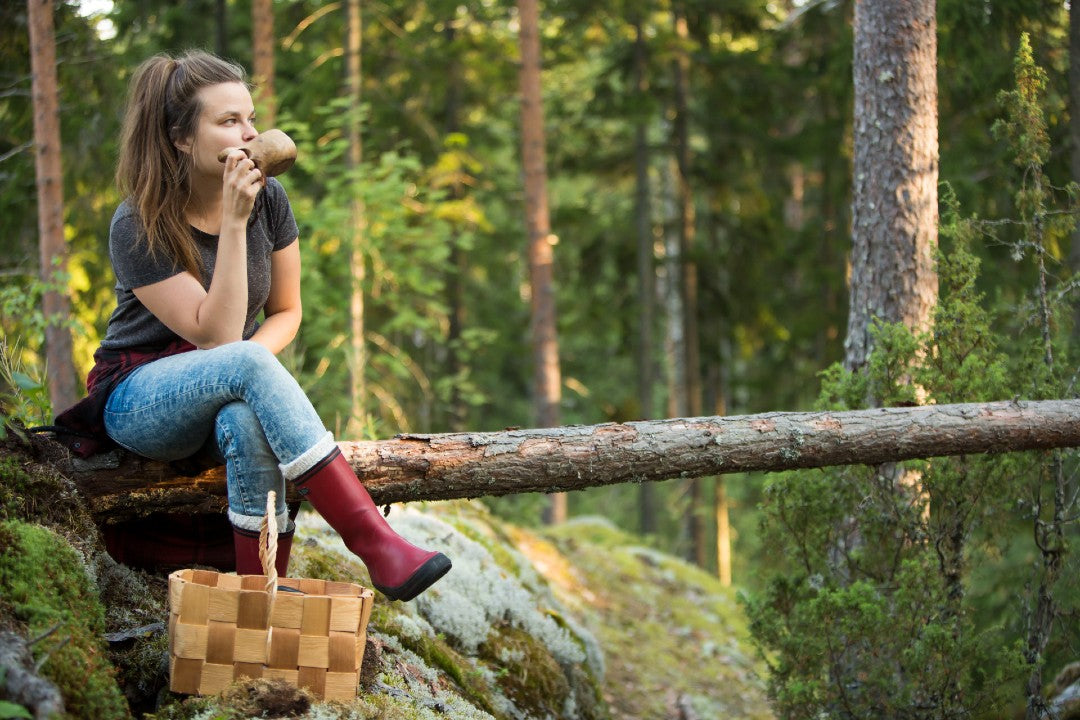 Sieniretket Ruohonjuuren asiakkaille