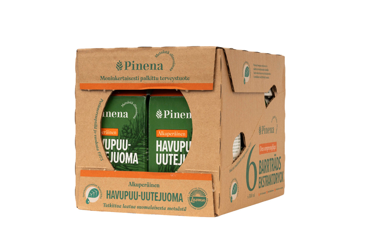 Havupuu-uutejuoma, 6 x 500 ml