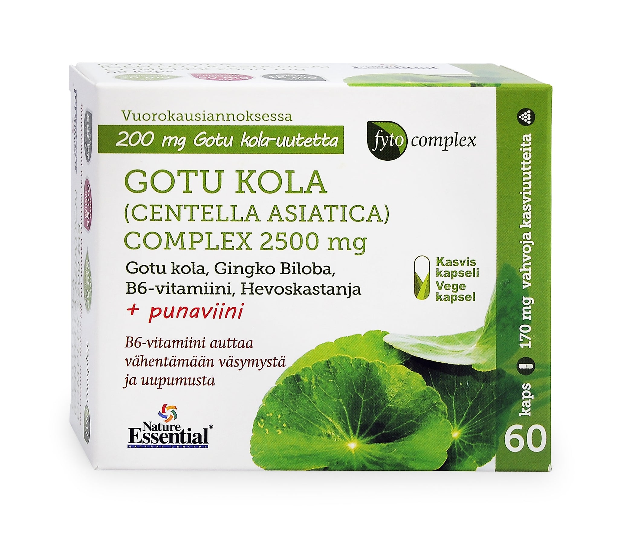Fytocomplex Gotu Kola + Hevoskastanja + Neidonhiuspuu + punaviininlehti + B6