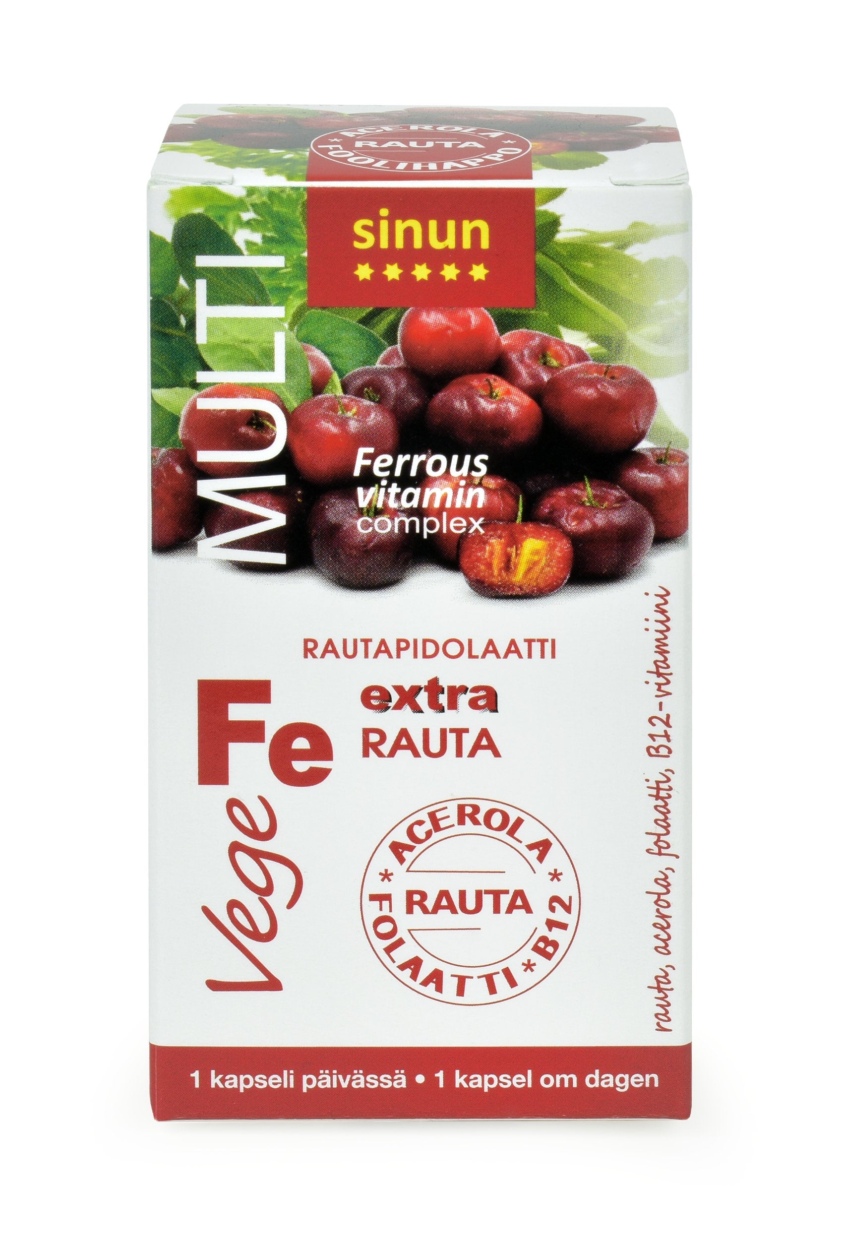 Rautapidolaatti +acerola +folaatti +B12, 60kpl